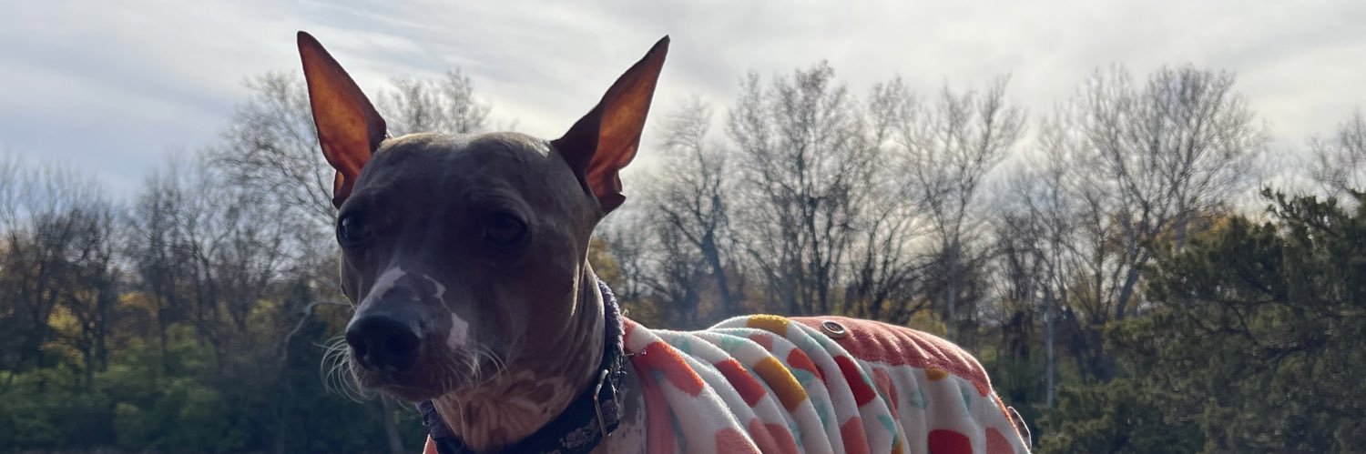 gaushof's profile banner image