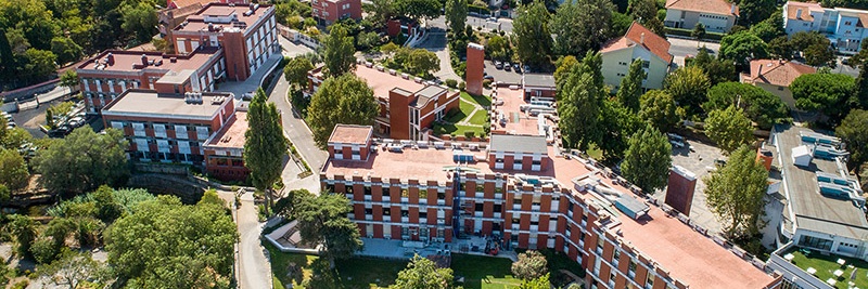 IGC PhD Delegates banner