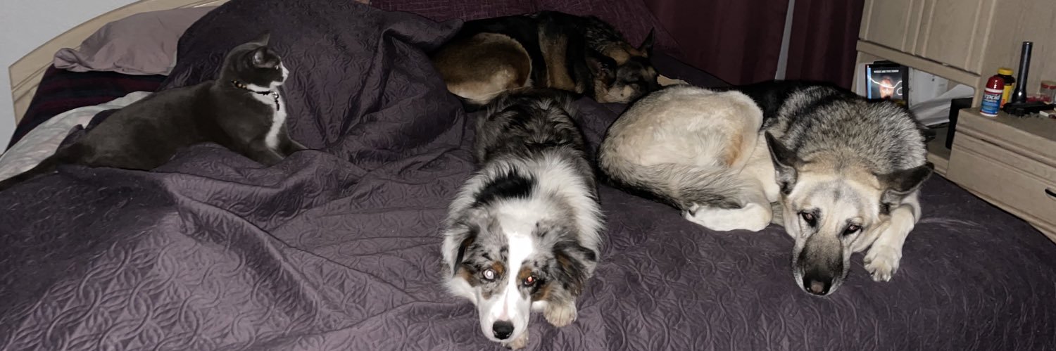 Joe Niemczyk ✝️ banner