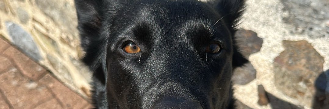 Jon_mrg's profile banner image
