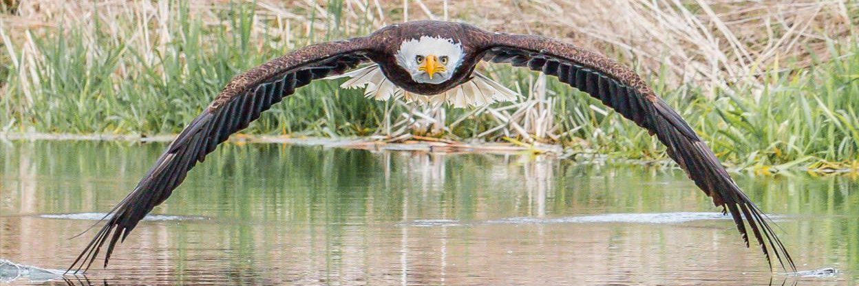 Dwight Custer 🦅 🇺🇸 banner