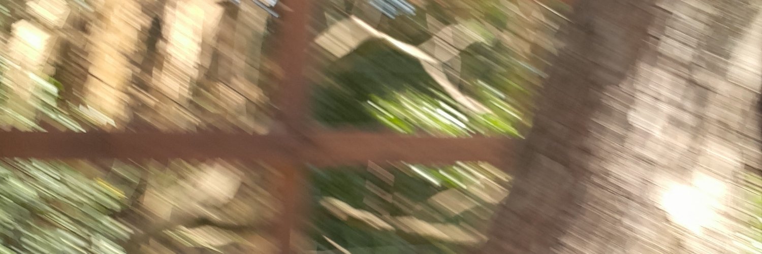 _N4T4CH4_'s profile banner image