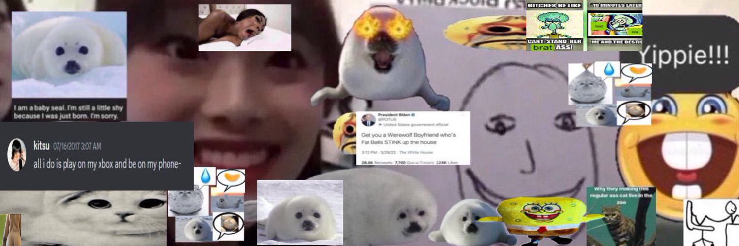 kitsu 🤍🪩🦭's banner