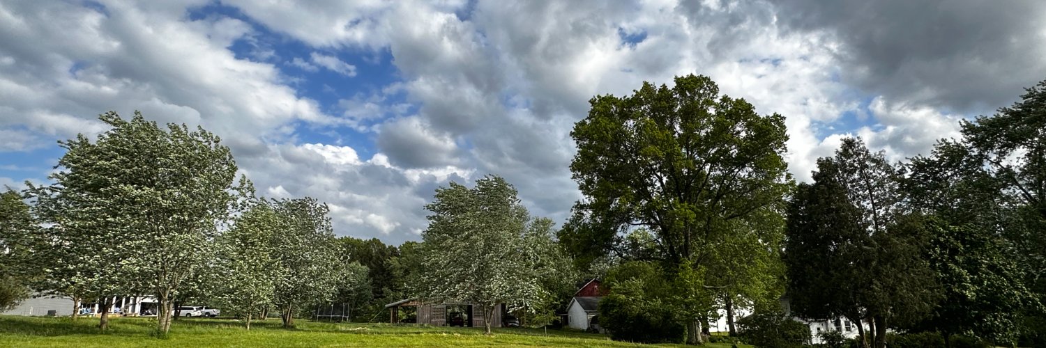 Michael Greiner banner
