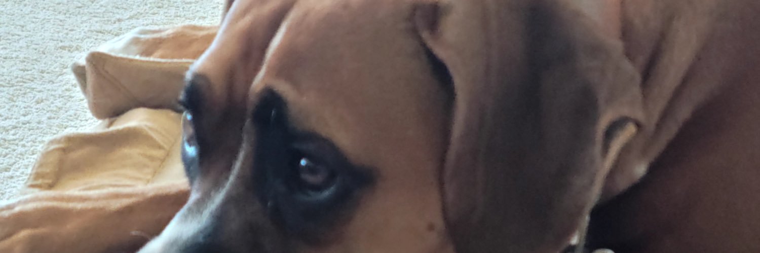 Michael OToole banner