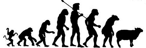 Harry the Tosser banner