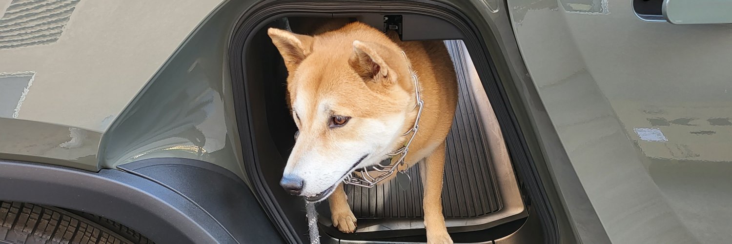 TheWorldHasGoneNuts banner