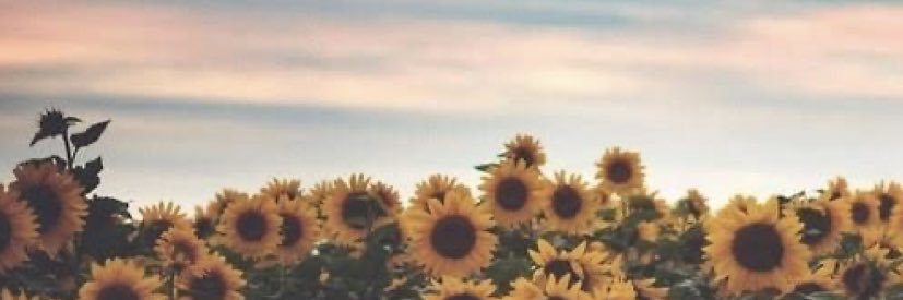 Samonee98's profile banner image