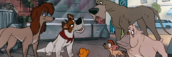 DenverDodgerDog Profile Banner