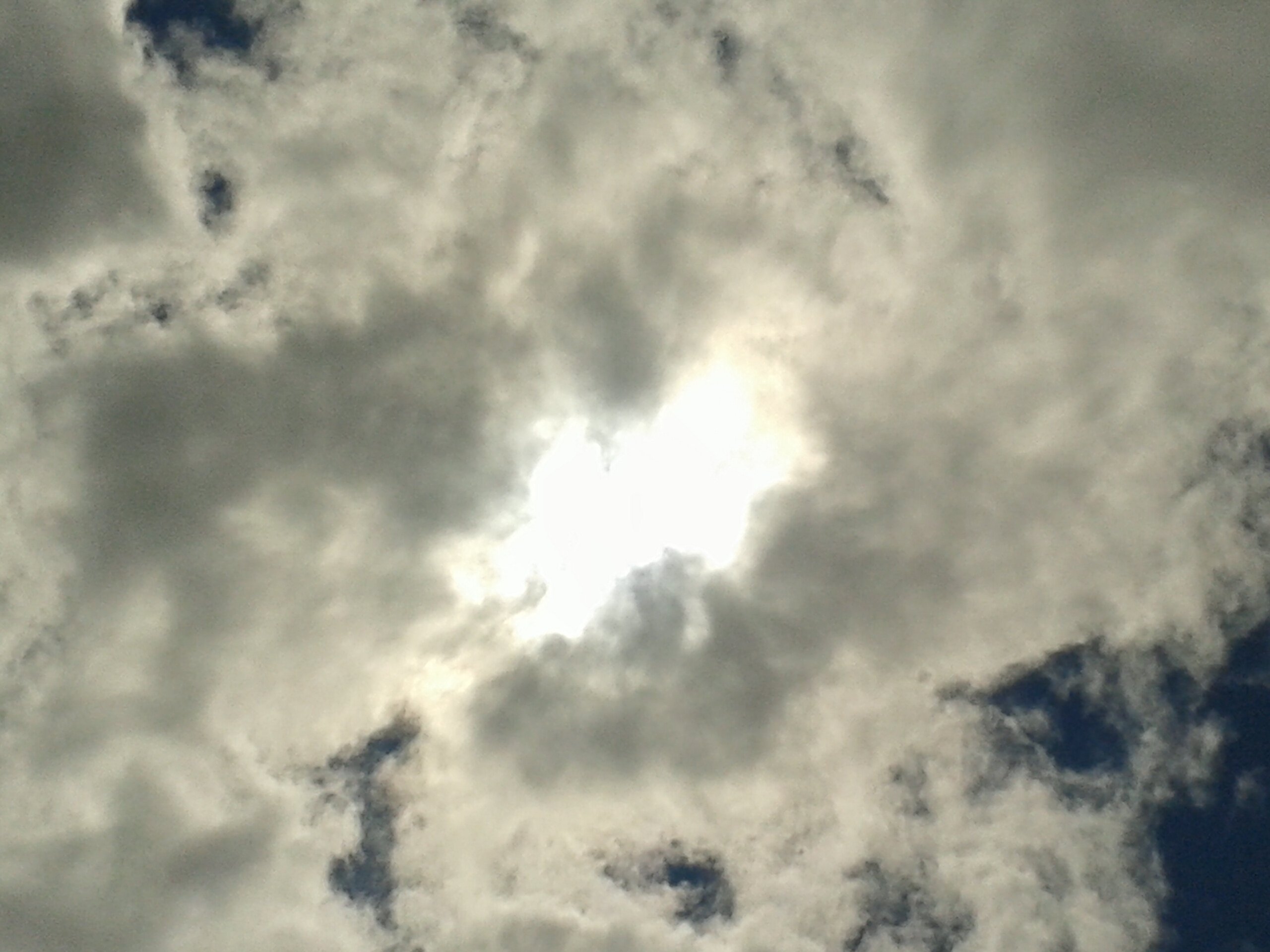 DoddToyne's profile banner image