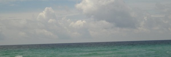 menlou0531 Profile Banner