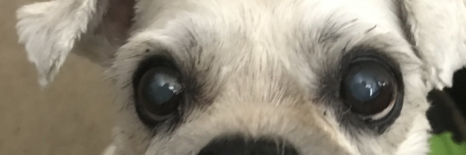 Leogman2's profile banner image