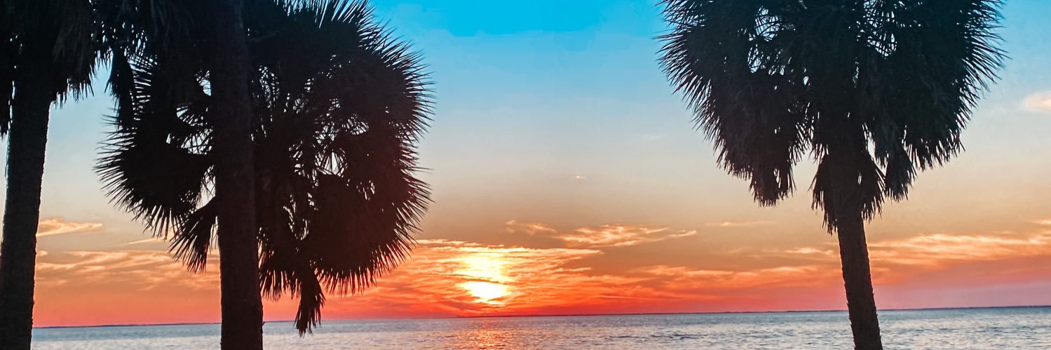 topshelfchells's profile banner image