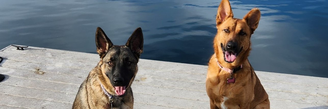 Patrick Buckley banner