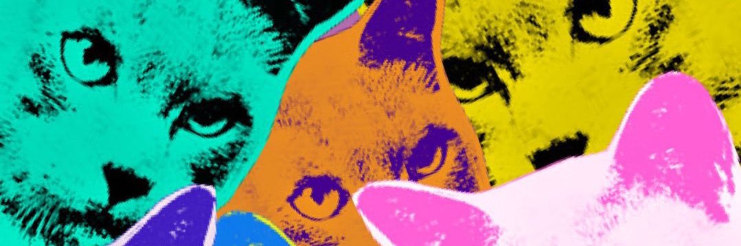 _nope_leon_'s profile banner image