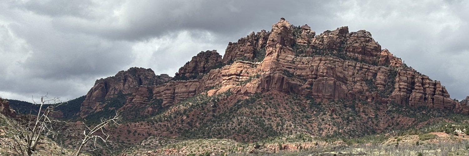 Bjamngirl's banner