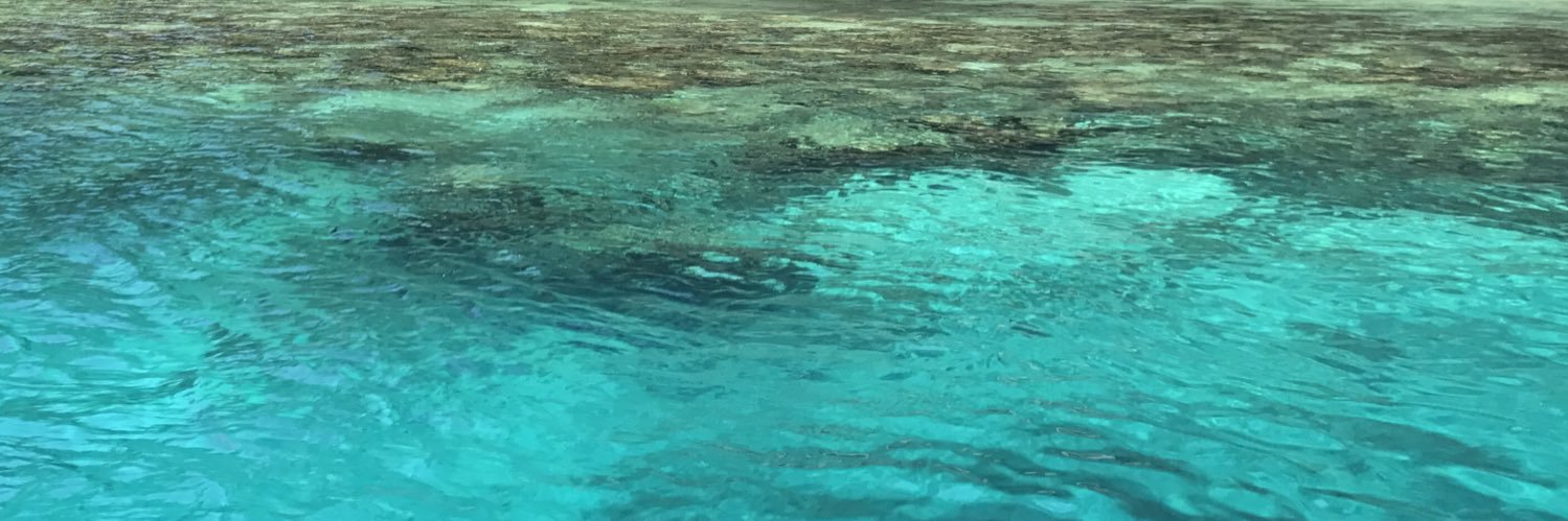 domsantos_'s profile banner image
