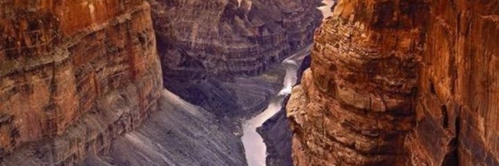 AMDeplorable💜🐯🇺🇲 banner