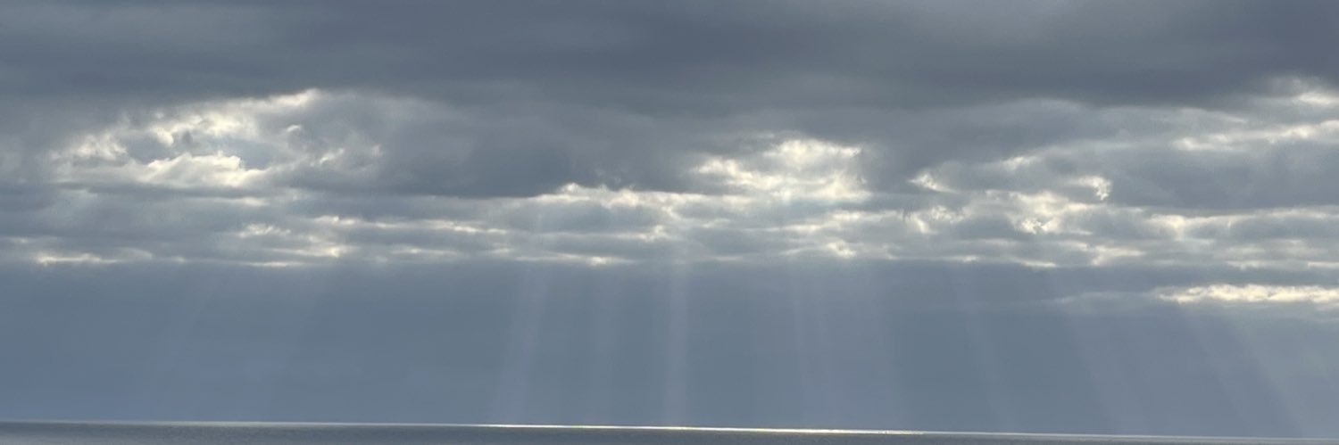 Nornal Guy 🧙‍♂️'s banner
