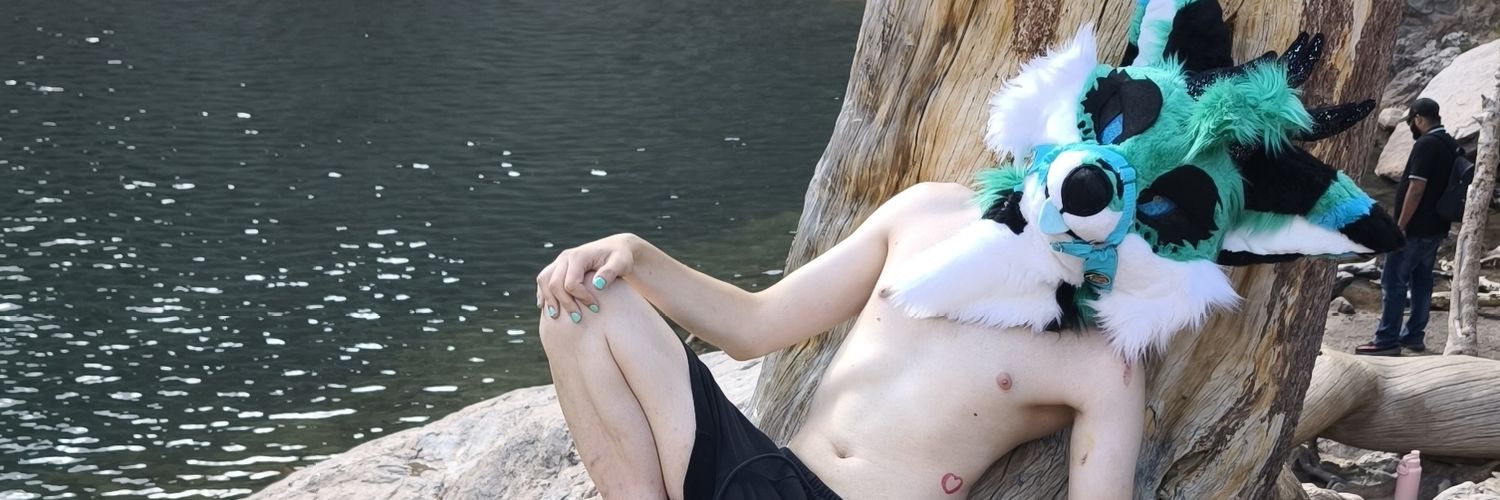 💙ColdTheFox 💙 🔜@NFC banner