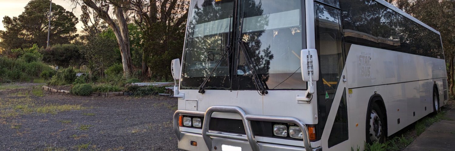 Nomadic Coach banner