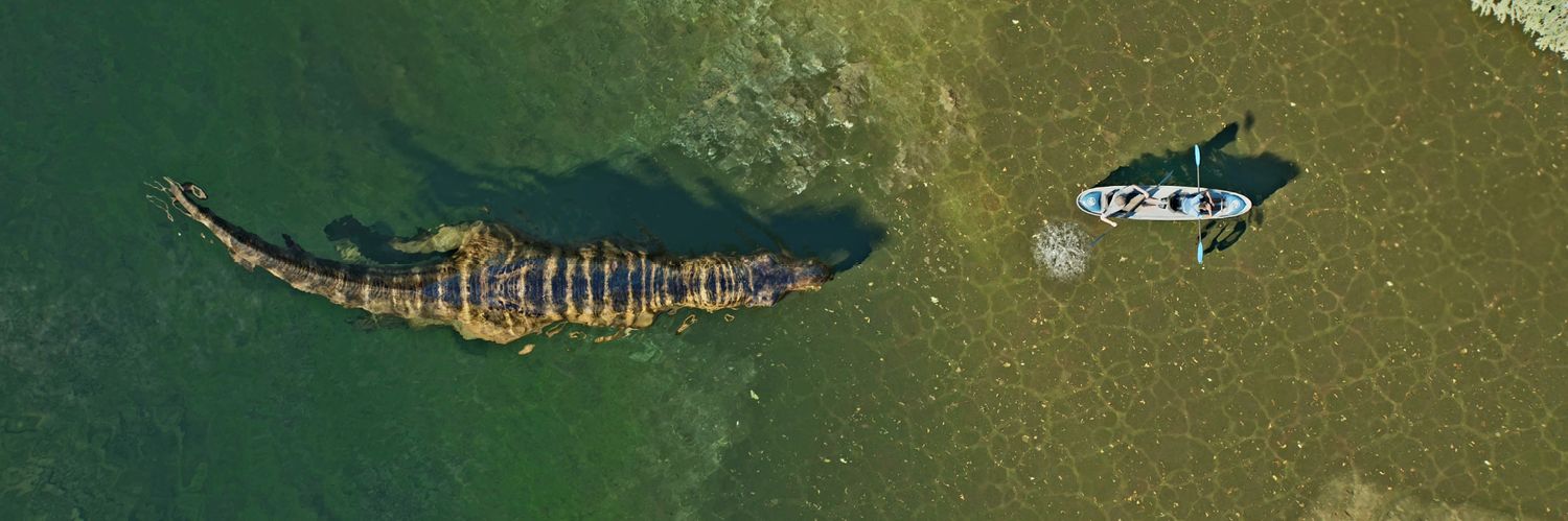 Jurassic_Kevin's profile banner image