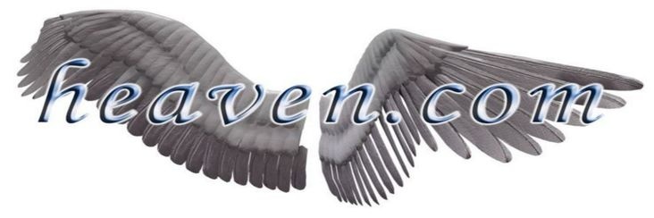 sapatosdevidro's profile banner image