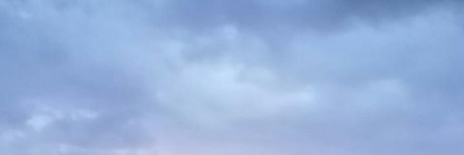 nilufrtasar's profile banner image