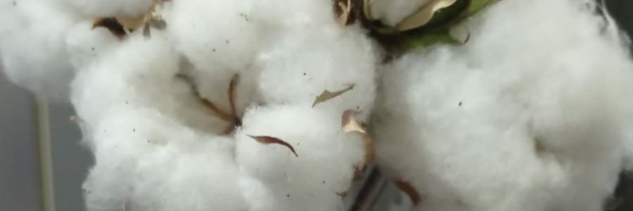 SutcuogluEmine's profile banner image