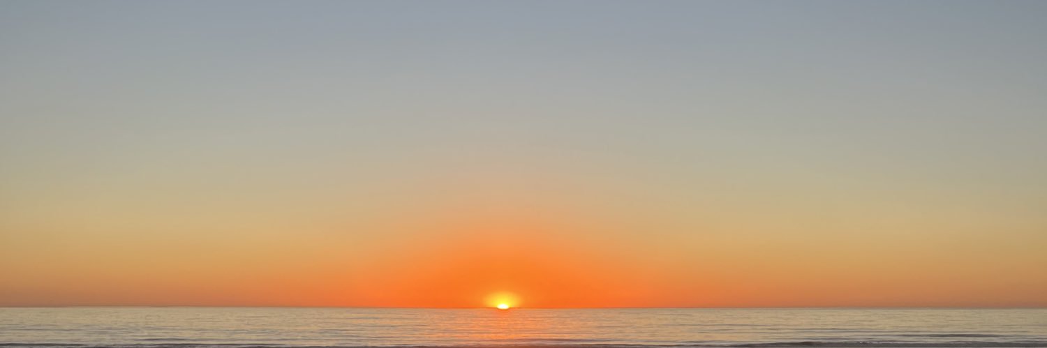 hippiedrae's profile banner image