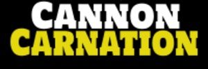 cannoncarnation's profile banner image