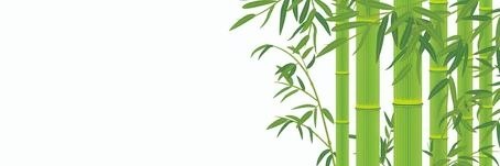 baaaaya banner