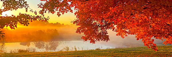 yyzr30 Profile Banner