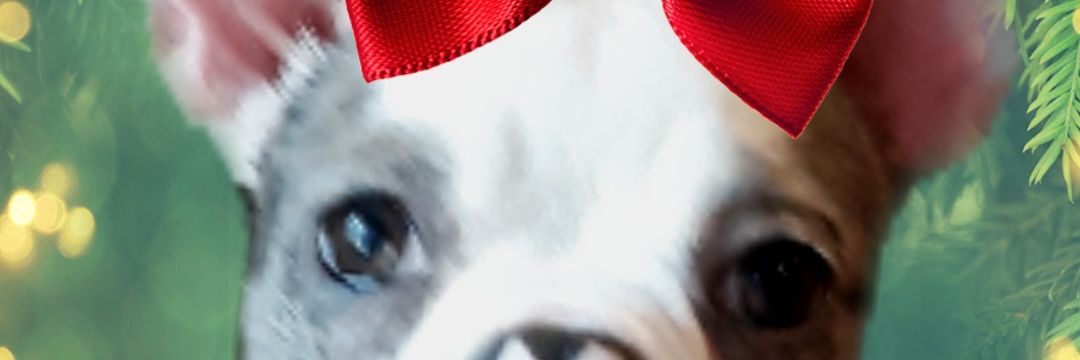 NancyDOsborne1's profile banner image