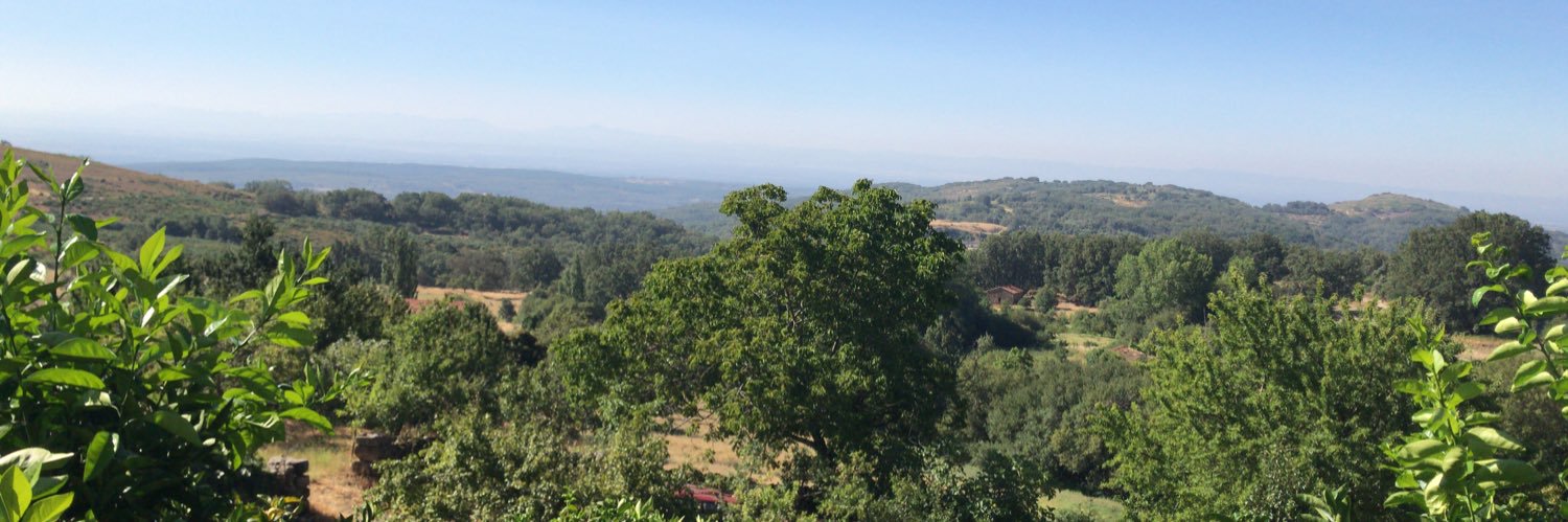 Maria GCurto banner