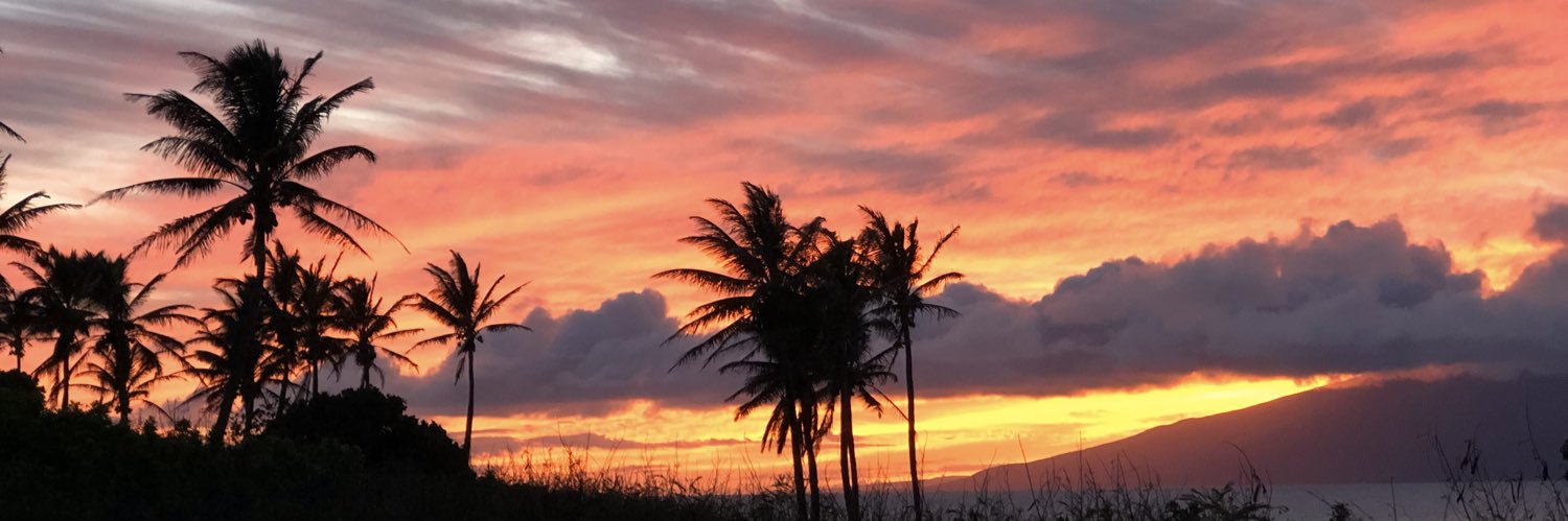 katy_schad's profile banner image