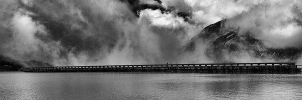 trami Profile Banner