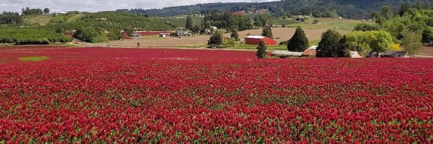 Greg Wilson 🇺🇸 banner