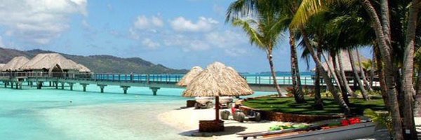 RobinInSA Profile Banner