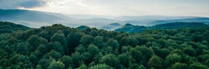 DanyAMorais's profile banner image