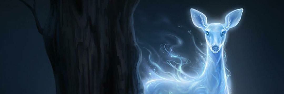 aamina1998's profile banner image