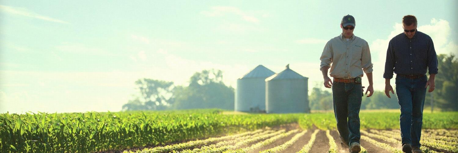 Channel Michigan banner