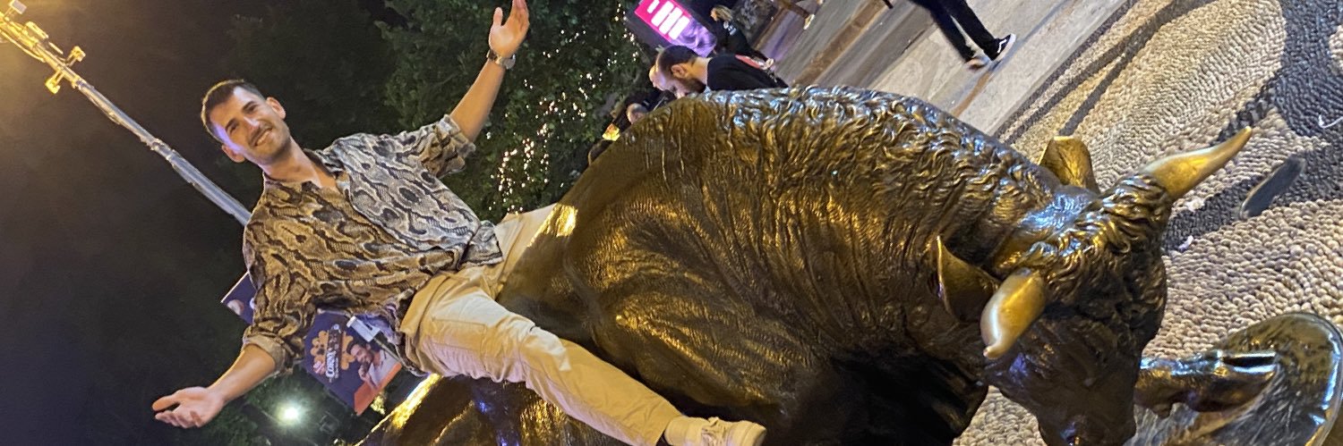 MerttAyann's profile banner image