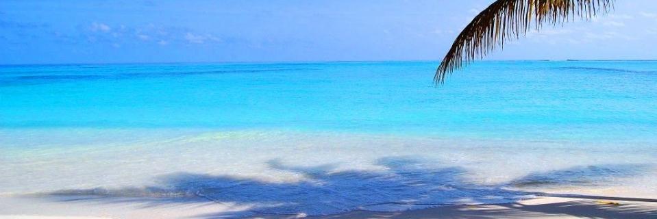 svkaria's profile banner image
