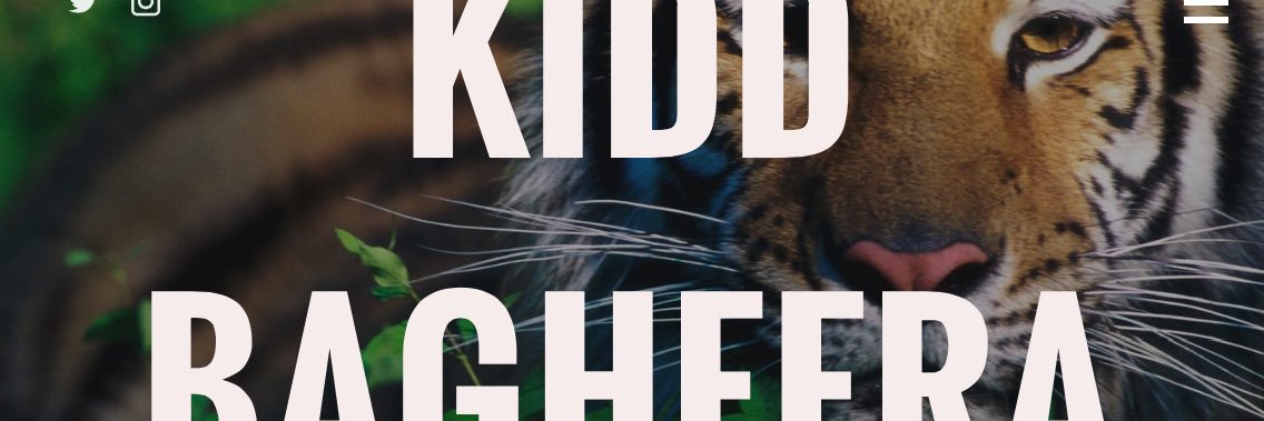 KiddBagheera's profile banner image