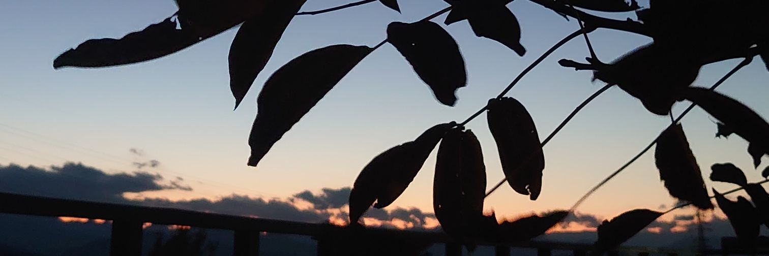 maririn63's profile banner image