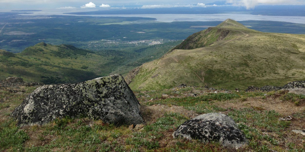 Corrie Whitmore banner