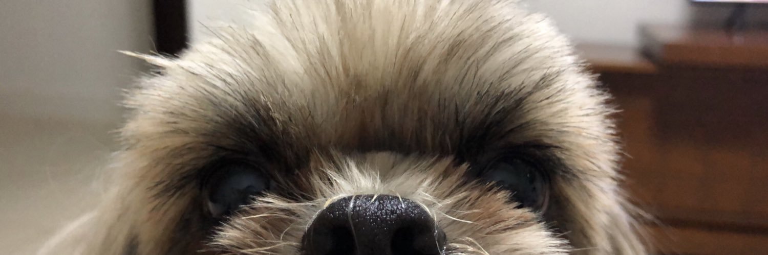 Bru banner