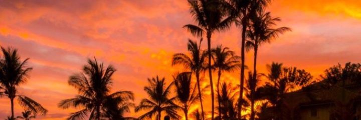 vincecami's profile banner image