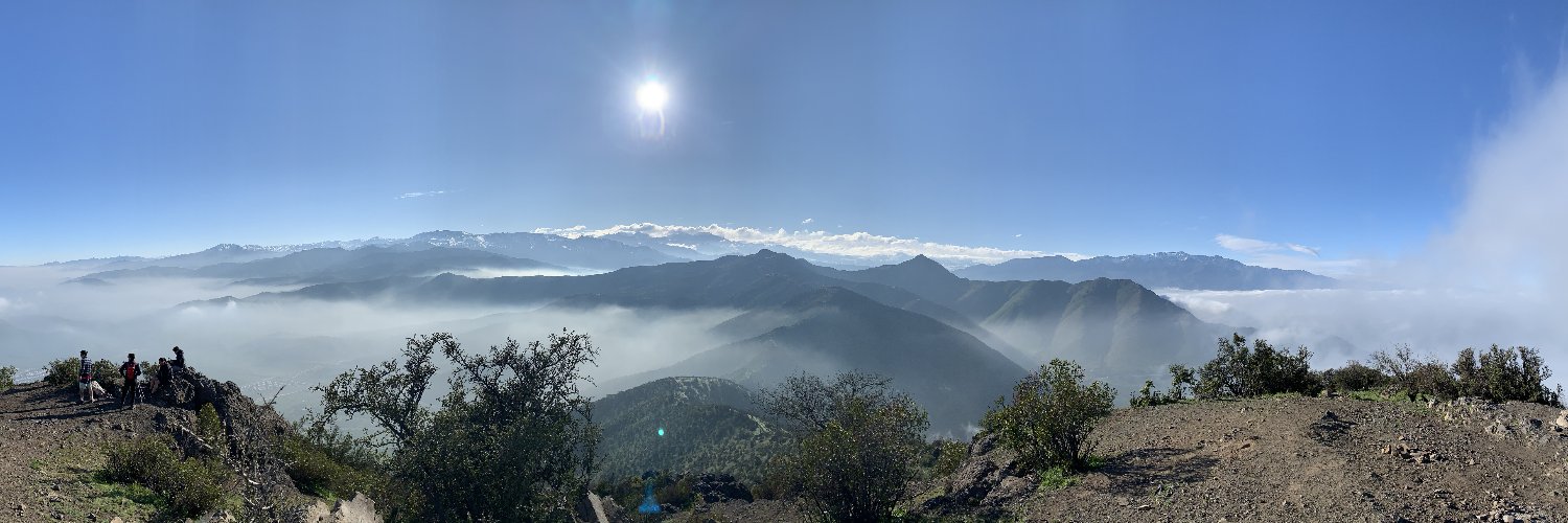 TraderForFreedom banner